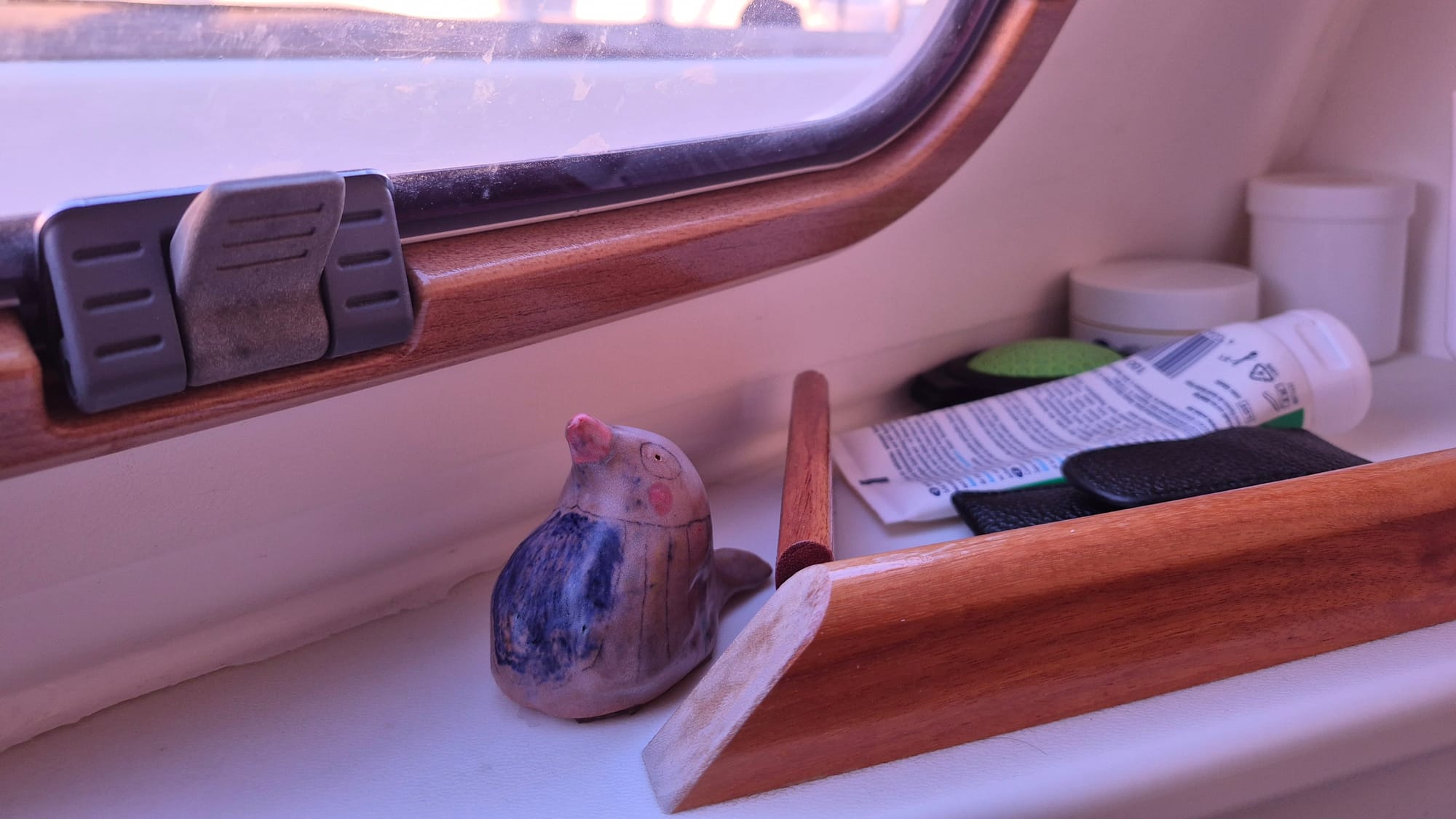 28.12.25 Sukošan Xmas: der Dorn