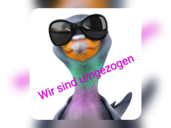 04.03.26 Wieder einmal umgezogen